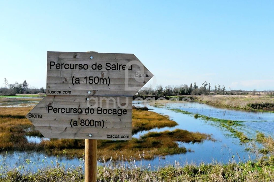 Terreno para Venda em Salreu Foto 6