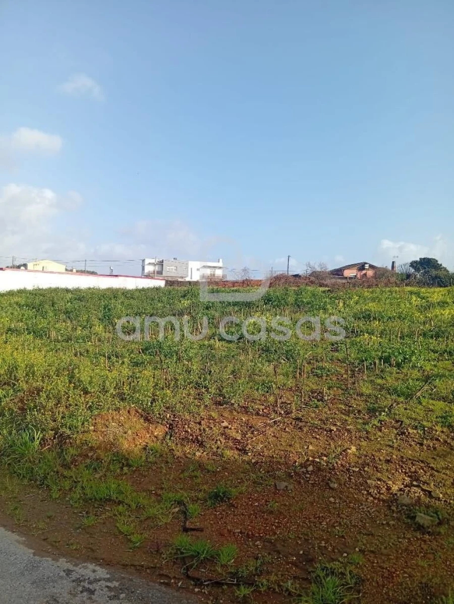 Terreno para Venda em Salreu Foto 4