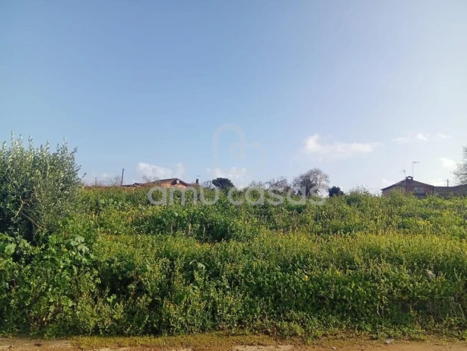 Terreno para Venda em Salreu Foto 2