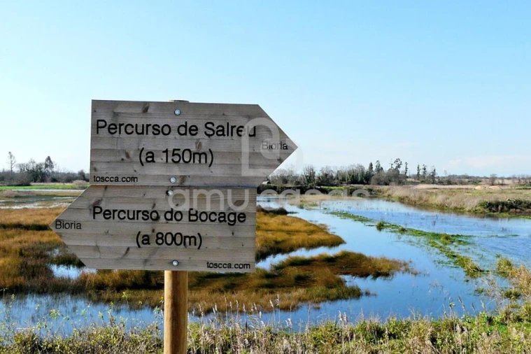 Terreno para Venda em Salreu Foto 6