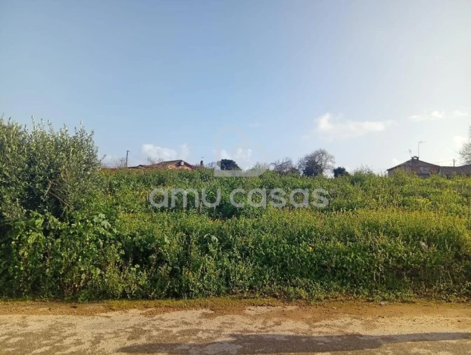 Terreno para Venda em Salreu Foto 3