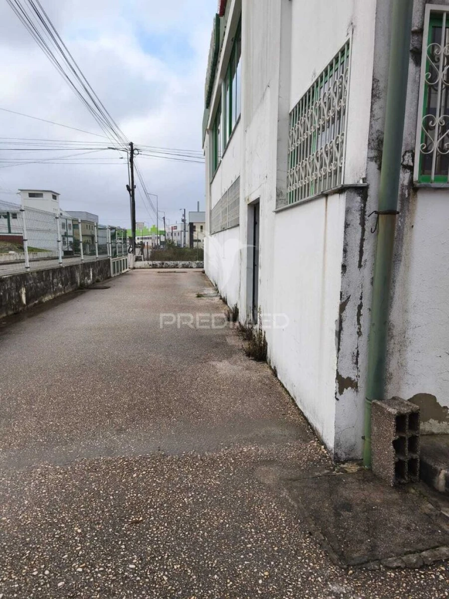 Armazém para Arrendamento em Oiã Foto 3