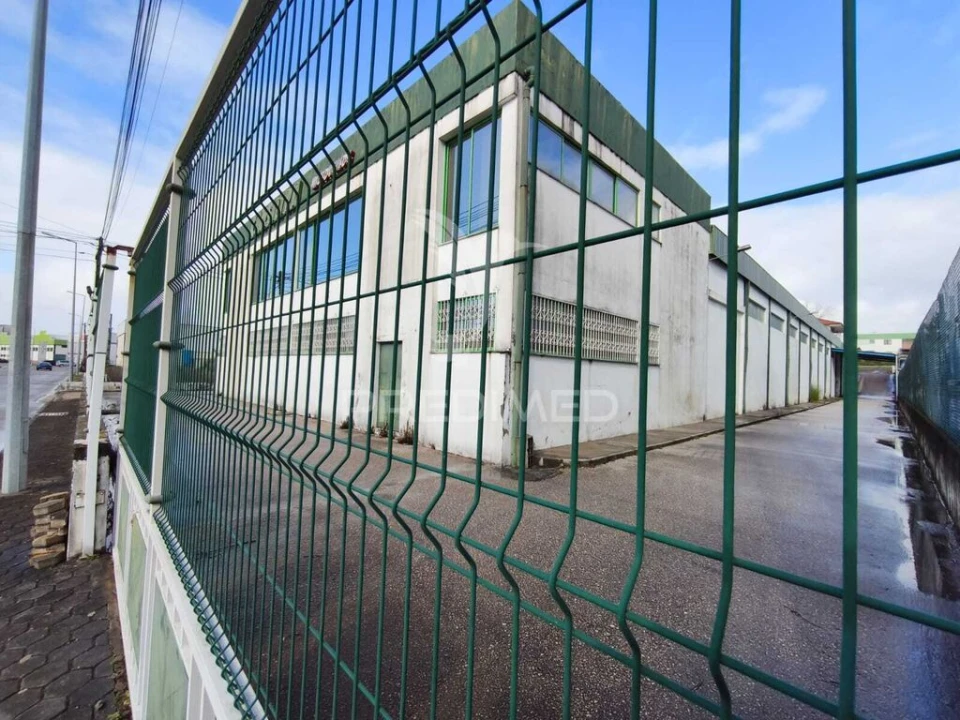 Armazém para Arrendamento em Oiã Foto 2