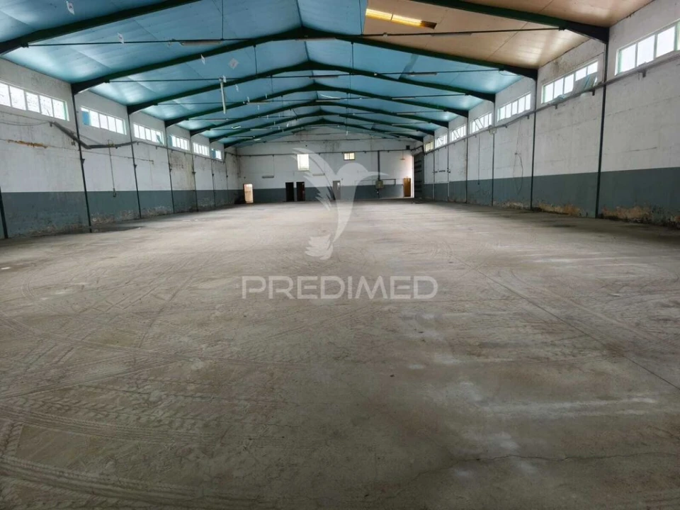 Armazém para Arrendamento em Oiã Foto 9