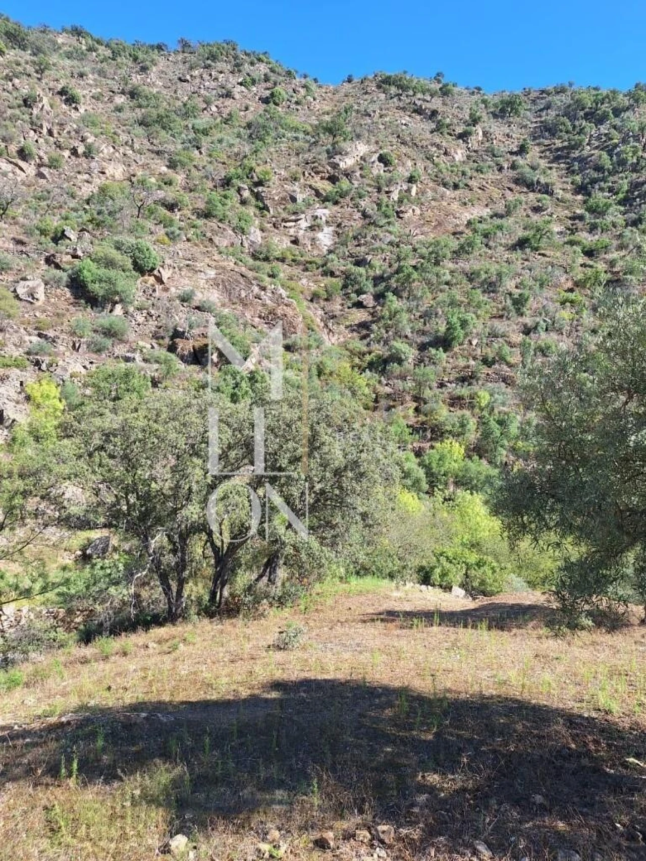 Terreno para Venda em Vilarinho da Castanheira Foto 5