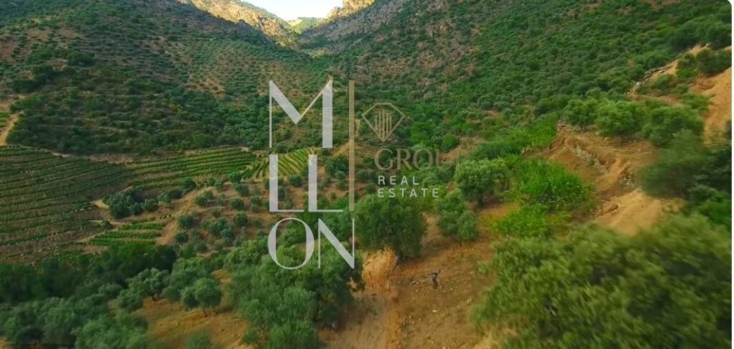 Terreno para Venda em Vilarinho da Castanheira Foto 3