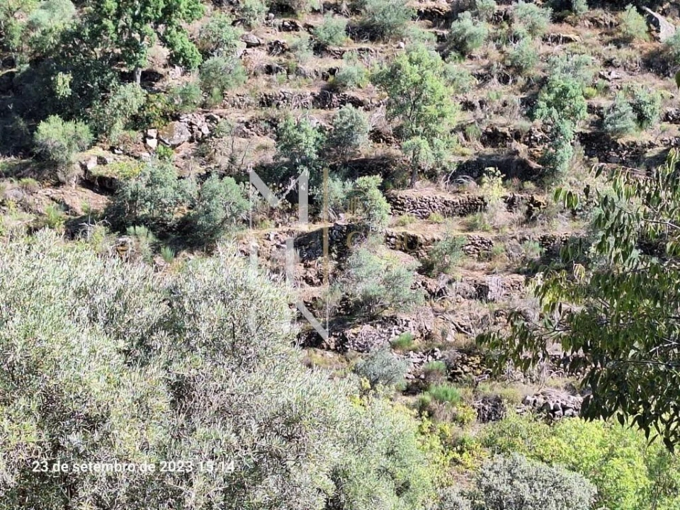 Terreno para Venda em Vilarinho da Castanheira Foto 7