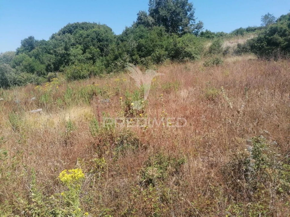 Terreno para Venda em Santo Quintino Foto 9