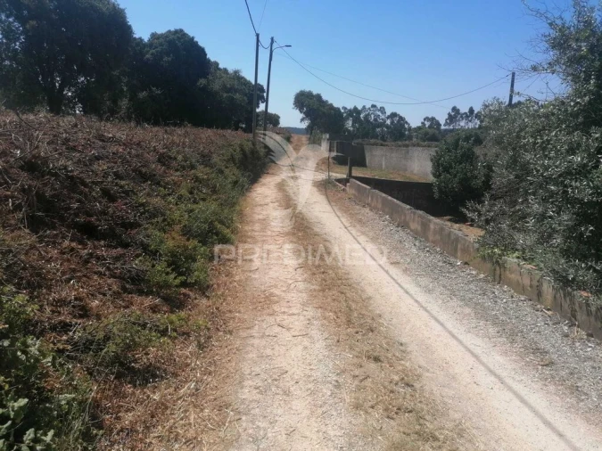 Terreno para Venda em Santo Quintino Foto 16