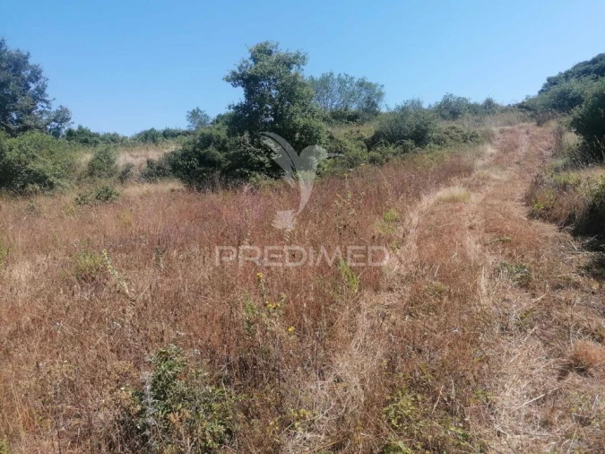 Terreno para Venda em Santo Quintino Foto 8