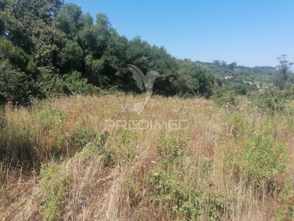 Terreno para Venda em Santo Quintino Foto 6