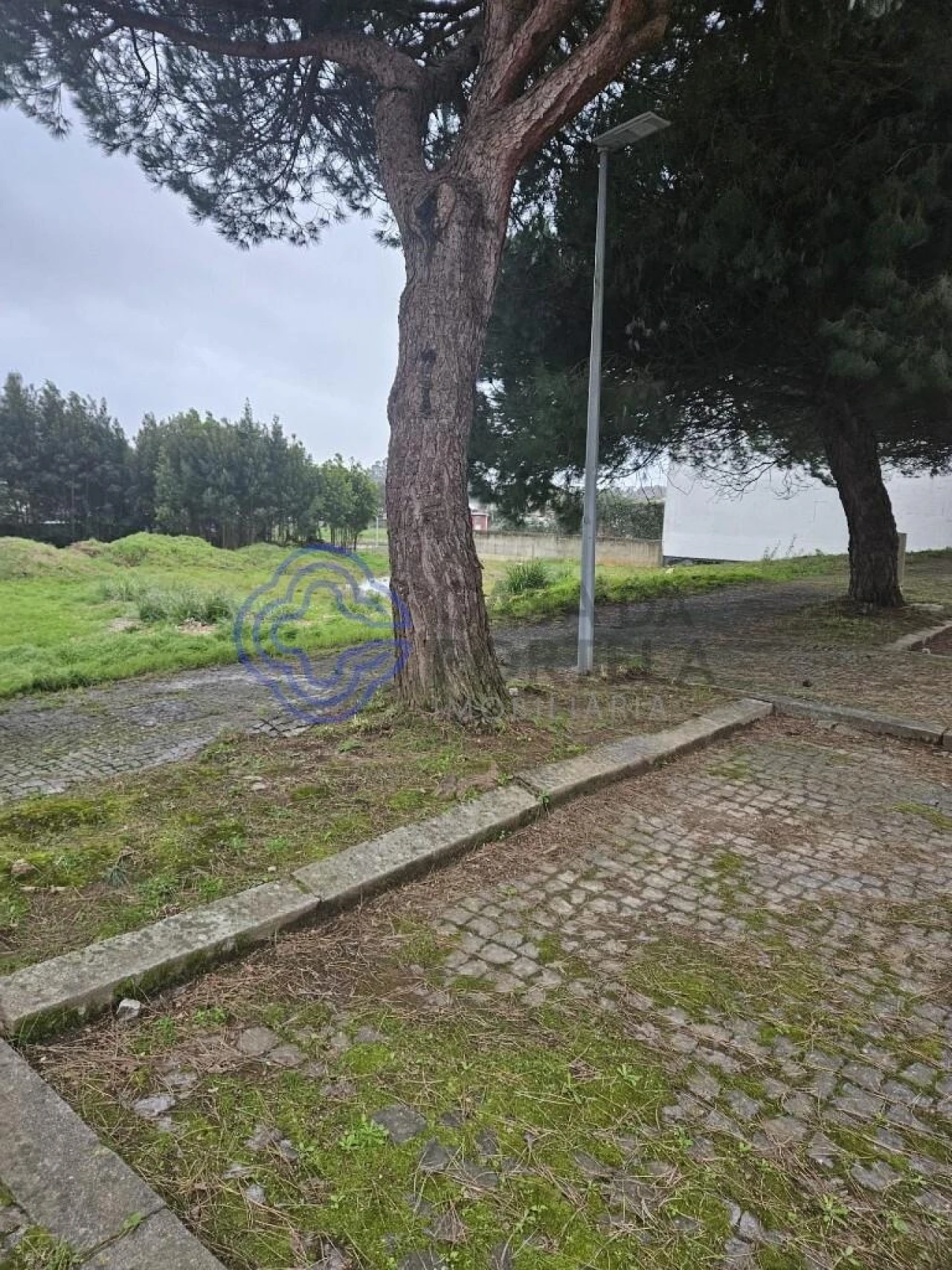 Terreno para Venda em Anta e Guetim Foto 6