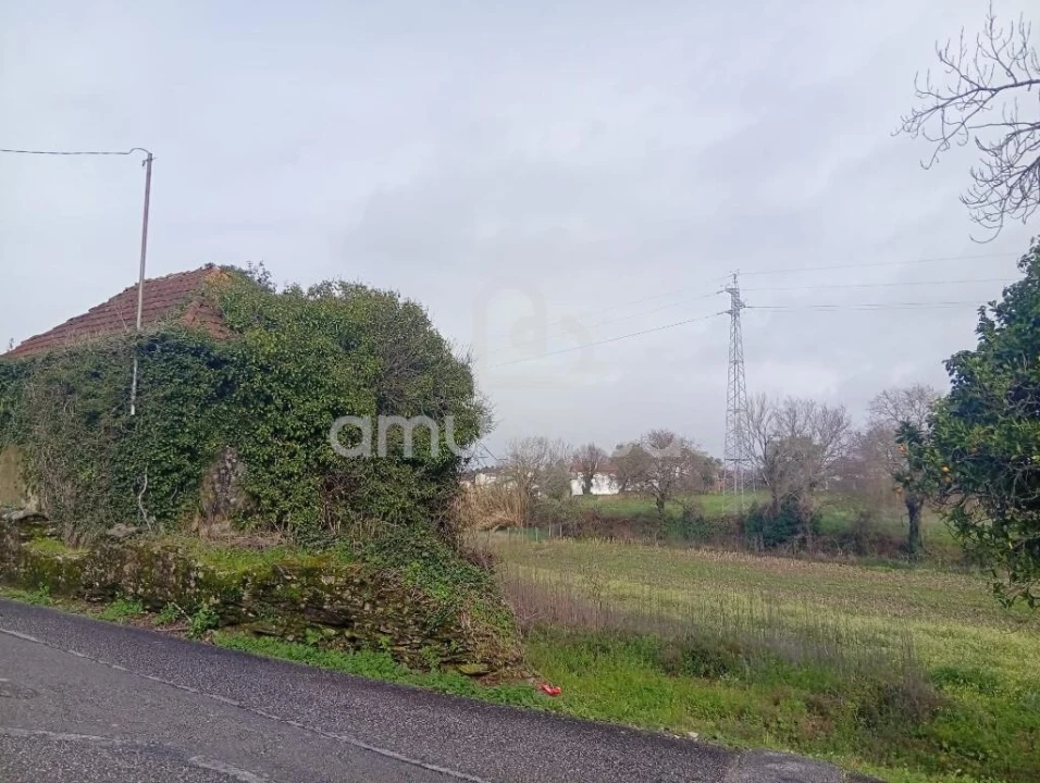 Terreno para Venda em Beduído e Veiros Foto 5
