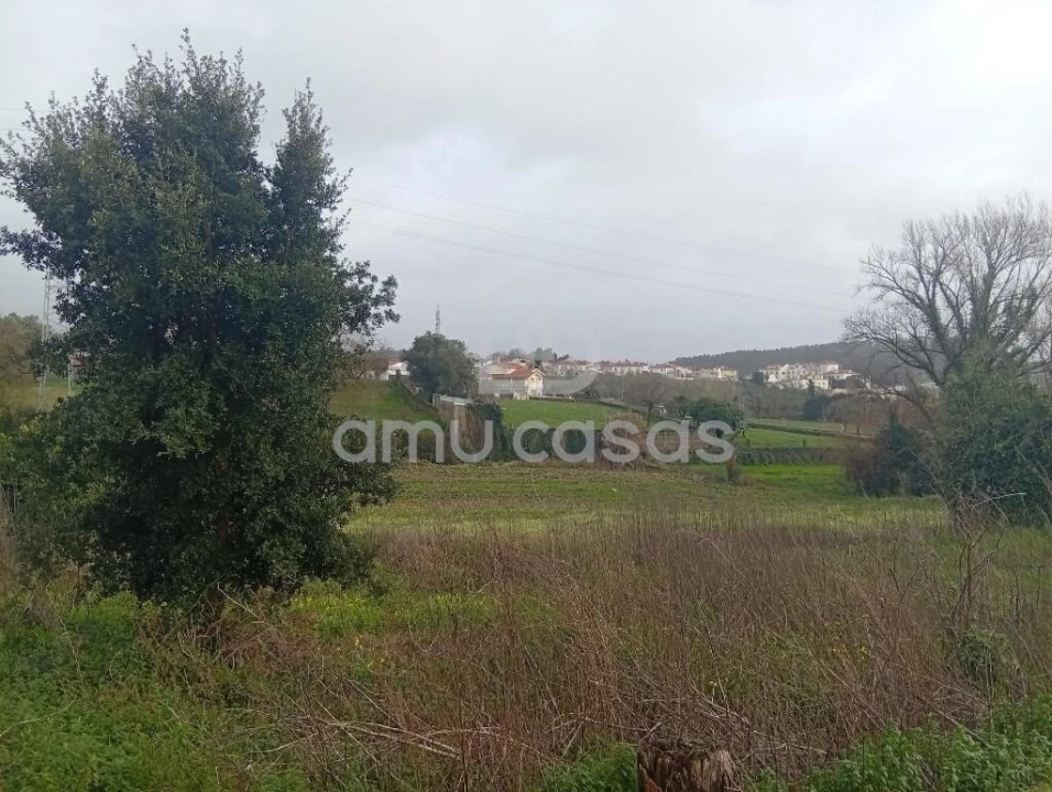 Terreno para Venda em Beduído e Veiros Foto 2