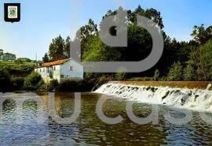 Terreno para Venda em Beduído e Veiros Foto 12