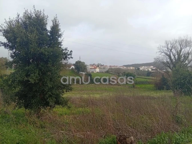 Terreno para Venda em Beduído e Veiros Foto 2