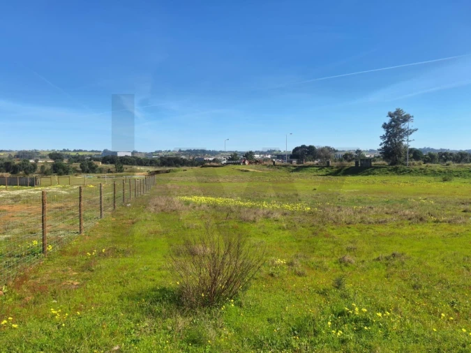 Terreno para Venda em Aveiras de Cima Foto 16