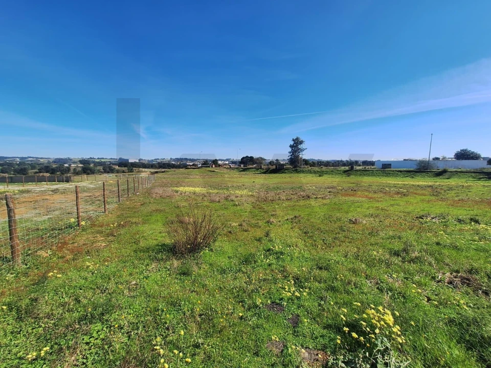 Terreno para Venda em Aveiras de Cima Foto 11