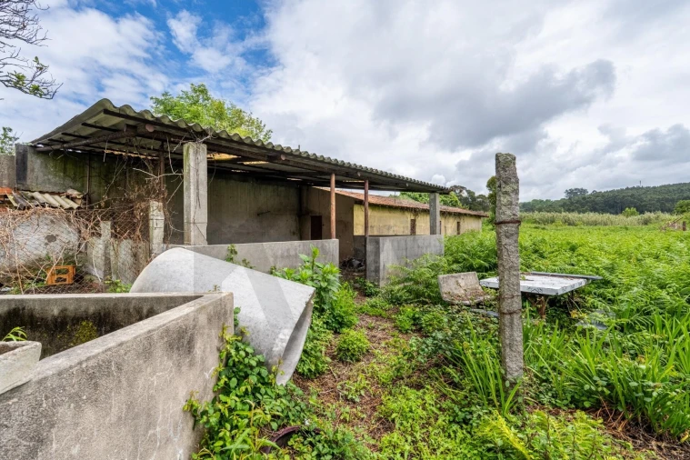 Moradia T3 para Venda em Grijó e Sermonde Foto 40