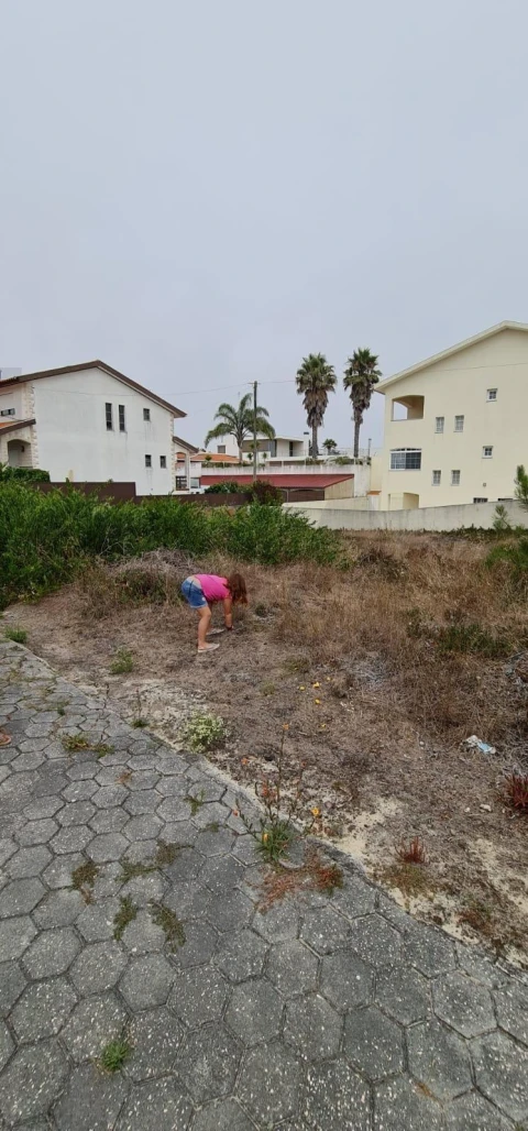 Terreno para Venda em São Jacinto
