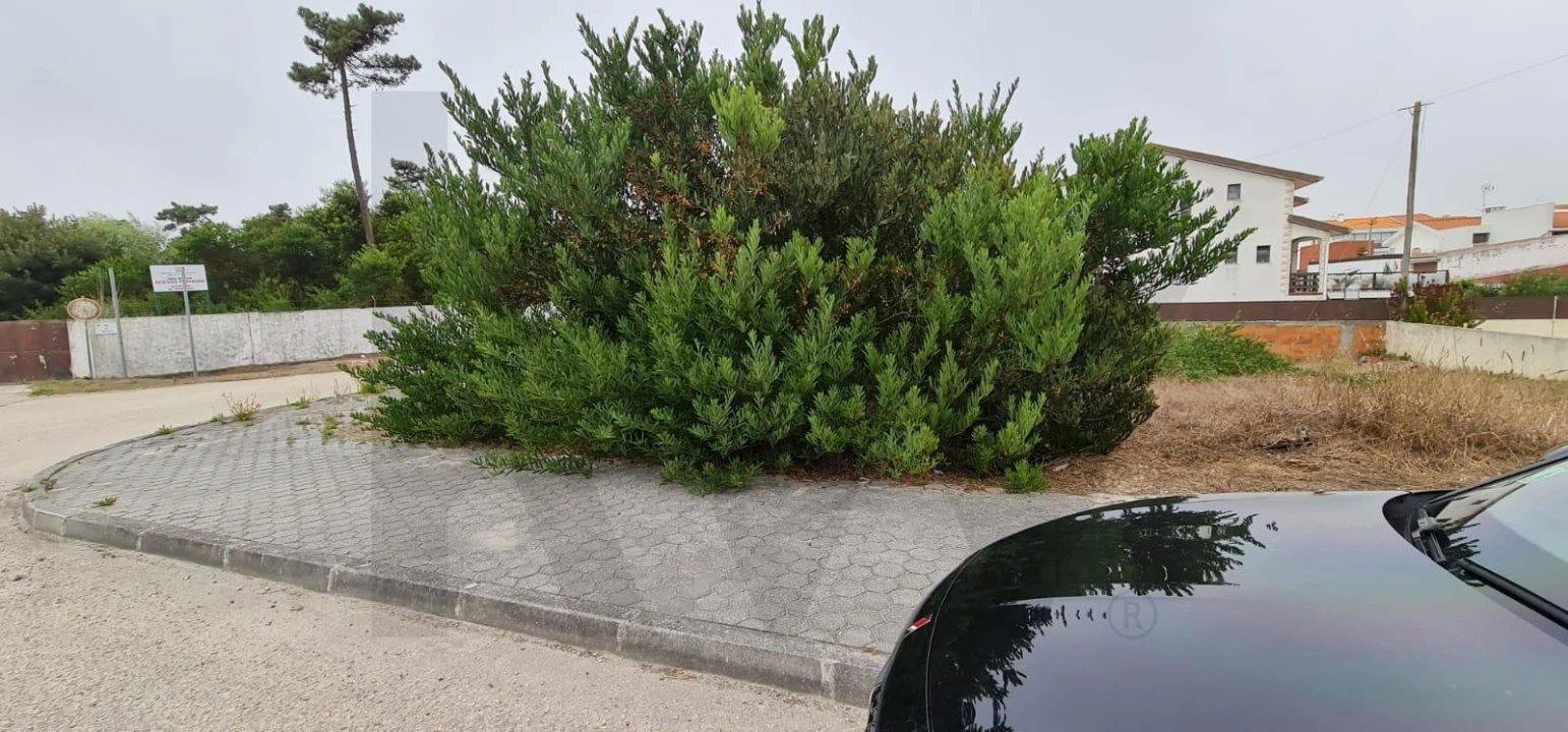 Terreno para Venda em São Jacinto Foto 2