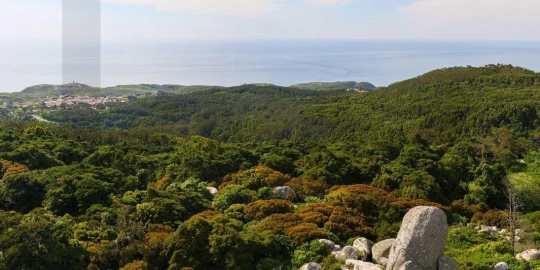 Apartamento T3 para Venda em Cascais e Estoril