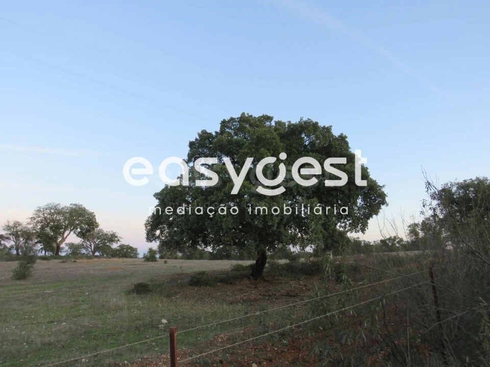 Terreno Agricola ou Rústico para Venda em Vila Nova de São Bento e Vale de Vargo Foto 1