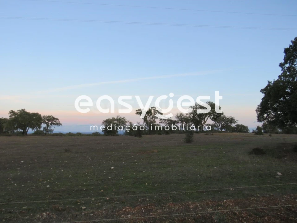Terreno Agricola ou Rústico para Venda em Vila Nova de São Bento e Vale de Vargo Foto 2