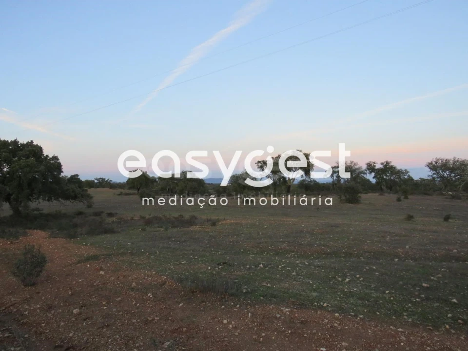 Terreno Agricola ou Rústico para Venda em Vila Nova de São Bento e Vale de Vargo Foto 4