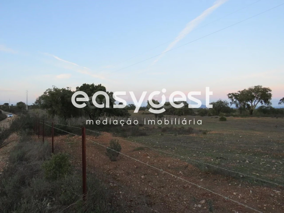 Terreno Agricola ou Rústico para Venda em Vila Nova de São Bento e Vale de Vargo Foto 8