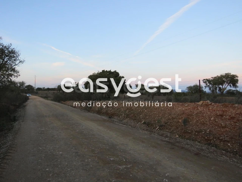 Terreno Agricola ou Rústico para Venda em Vila Nova de São Bento e Vale de Vargo Foto 9