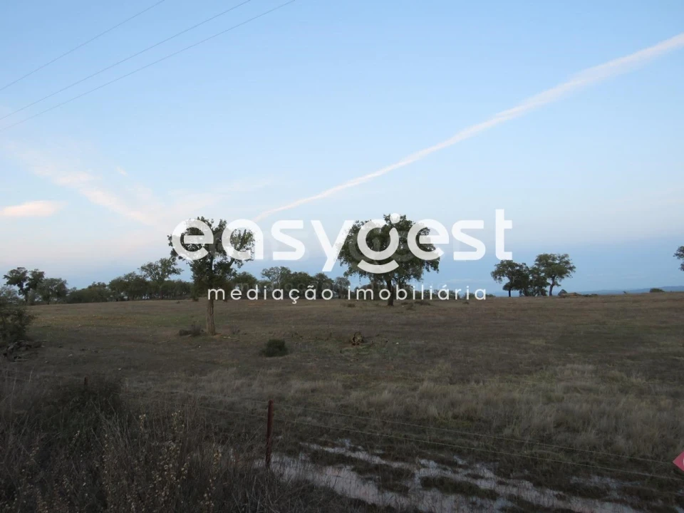 Terreno Agricola ou Rústico para Venda em Vila Nova de São Bento e Vale de Vargo Foto 11