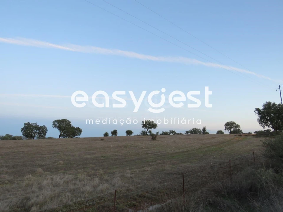 Terreno Agricola ou Rústico para Venda em Vila Nova de São Bento e Vale de Vargo Foto 14