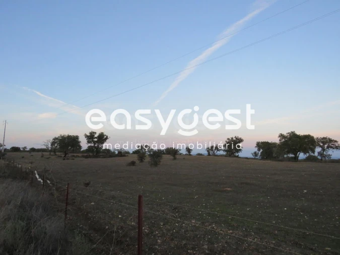Terreno Agricola ou Rústico para Venda em Vila Nova de São Bento e Vale de Vargo Foto 3