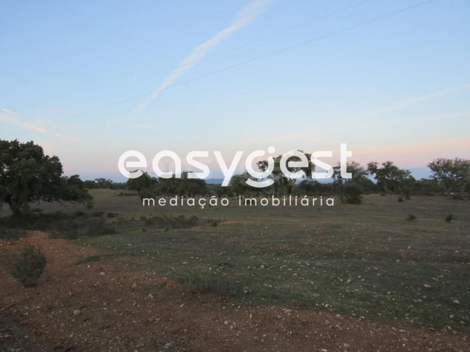 Terreno Agricola ou Rústico para Venda em Vila Nova de São Bento e Vale de Vargo Foto 4