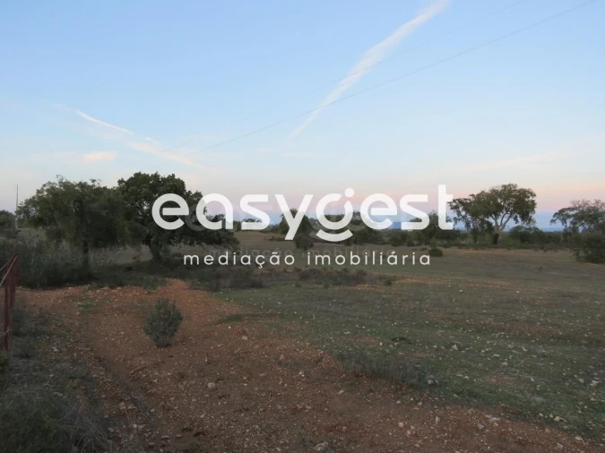 Terreno Agricola ou Rústico para Venda em Vila Nova de São Bento e Vale de Vargo Foto 5