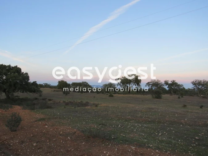 Terreno Agricola ou Rústico para Venda em Vila Nova de São Bento e Vale de Vargo Foto 7
