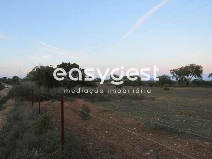 Terreno Agricola ou Rústico para Venda em Vila Nova de São Bento e Vale de Vargo Foto 8