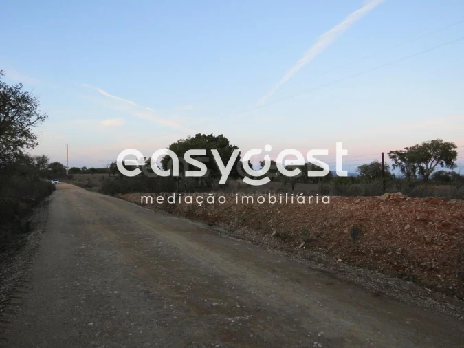 Terreno Agricola ou Rústico para Venda em Vila Nova de São Bento e Vale de Vargo Foto 9