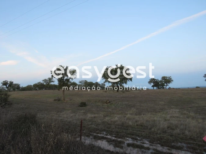 Terreno Agricola ou Rústico para Venda em Vila Nova de São Bento e Vale de Vargo Foto 11