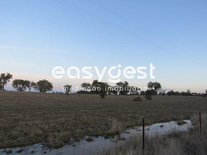Terreno Agricola ou Rústico para Venda em Vila Nova de São Bento e Vale de Vargo Foto 12