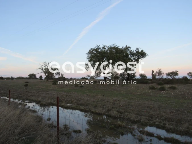 Terreno Agricola ou Rústico para Venda em Vila Nova de São Bento e Vale de Vargo Foto 13