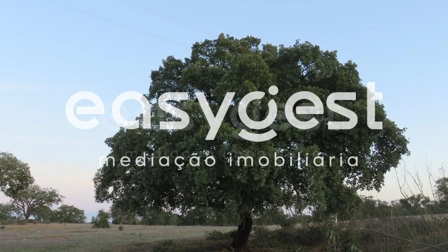 Terreno Agricola ou Rústico para Venda em Vila Nova de São Bento e Vale de Vargo