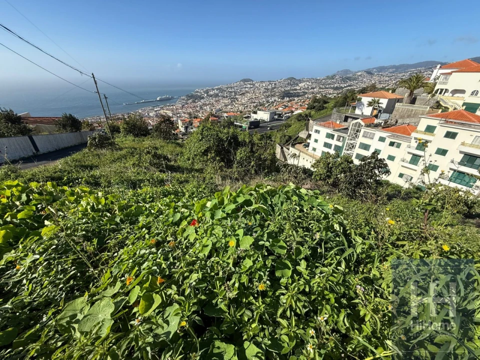 Terreno para Venda em Funchal (Santa Maria Maior) Foto 6