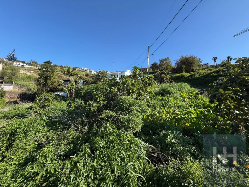 Terreno para Venda em Funchal (Santa Maria Maior) Foto 8