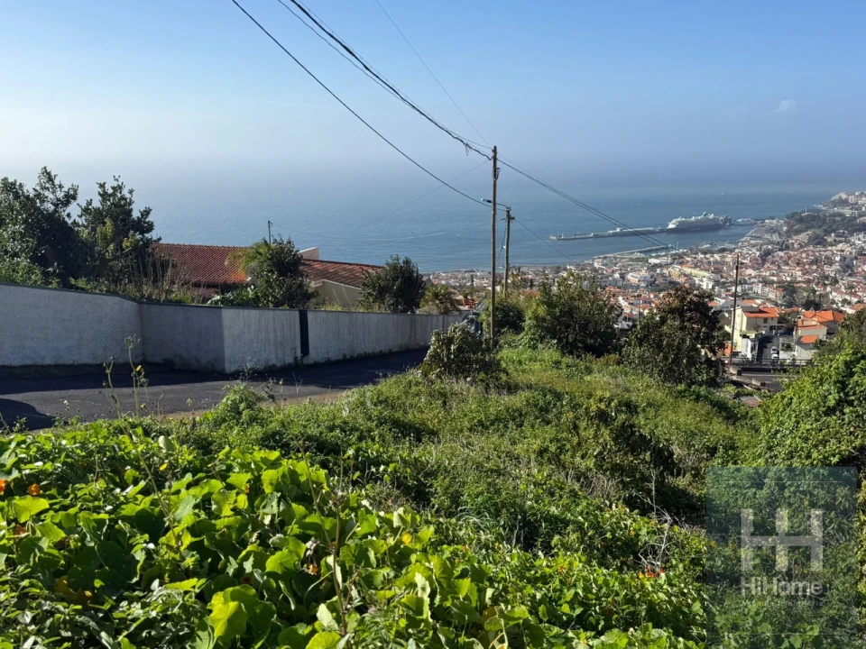 Terreno para Venda em Funchal (Santa Maria Maior) Foto 9