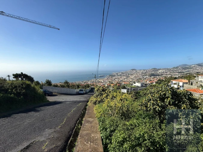Terreno para Venda em Funchal (Santa Maria Maior) Foto 11