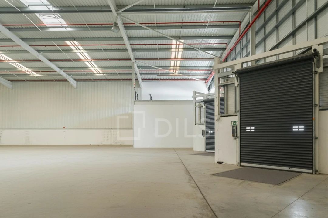 Armazém para Arrendamento em Benavente Foto 10