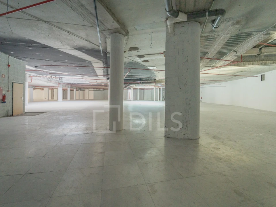 Escritório para Arrendamento em Cedofeita, Santo Ildefonso, Sé, Miragaia, São Nicolau e Vitória Foto 10