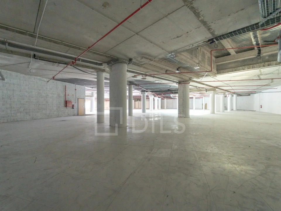 Escritório para Arrendamento em Cedofeita, Santo Ildefonso, Sé, Miragaia, São Nicolau e Vitória Foto 11